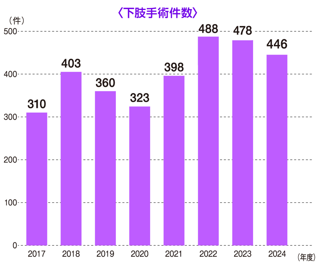 下肢手術件数